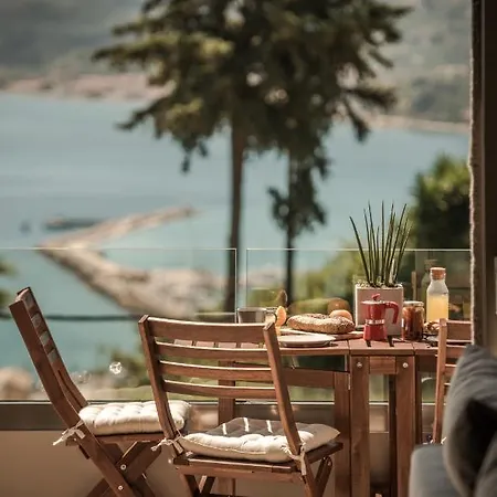 فيلة Pasithea Elegant *