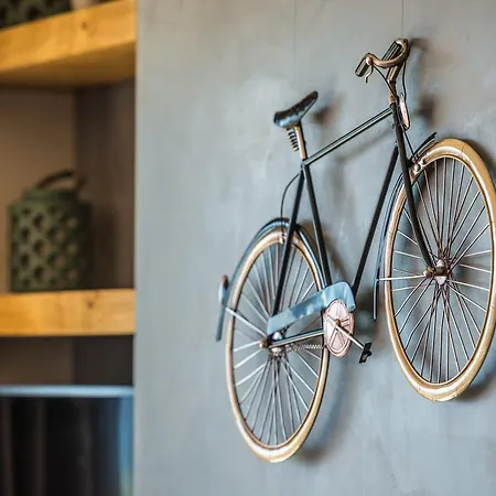 Pasithea Elegant فيلة *